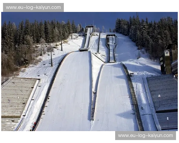 跳台滑雪赛事预测：看懂风与距离的艺术